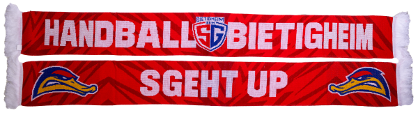 Strickschal "SGeht Up"